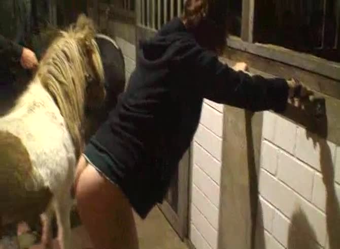 Video :Hot animal sex video of whore getting fucked by horse